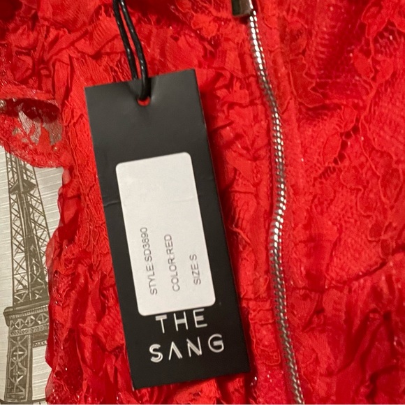 Red Lace Dress for Valentines or that special date - Picture 12 of 12